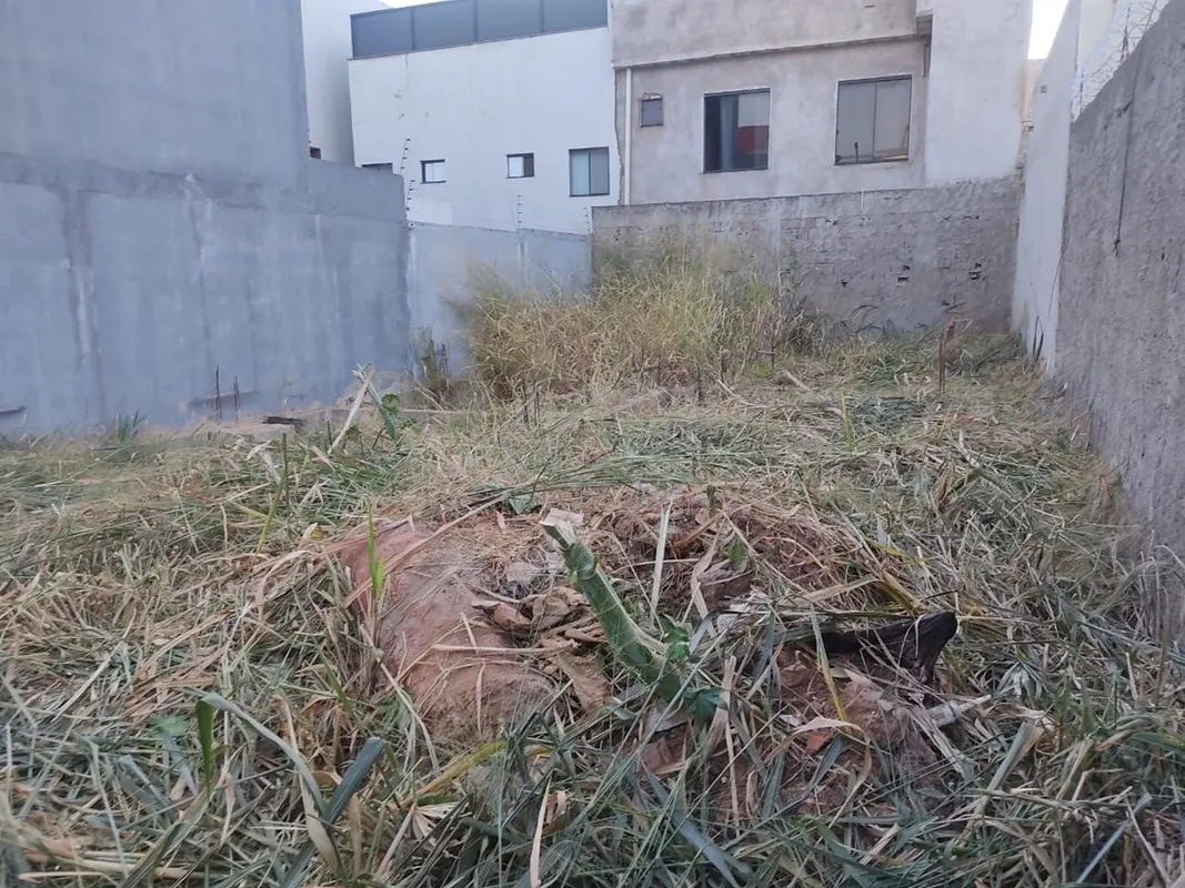 LEÕES DA CORRETAGEM VENDE O IMÓVEL QUE VOCÊ PROCURAOportunidade estratégica para...