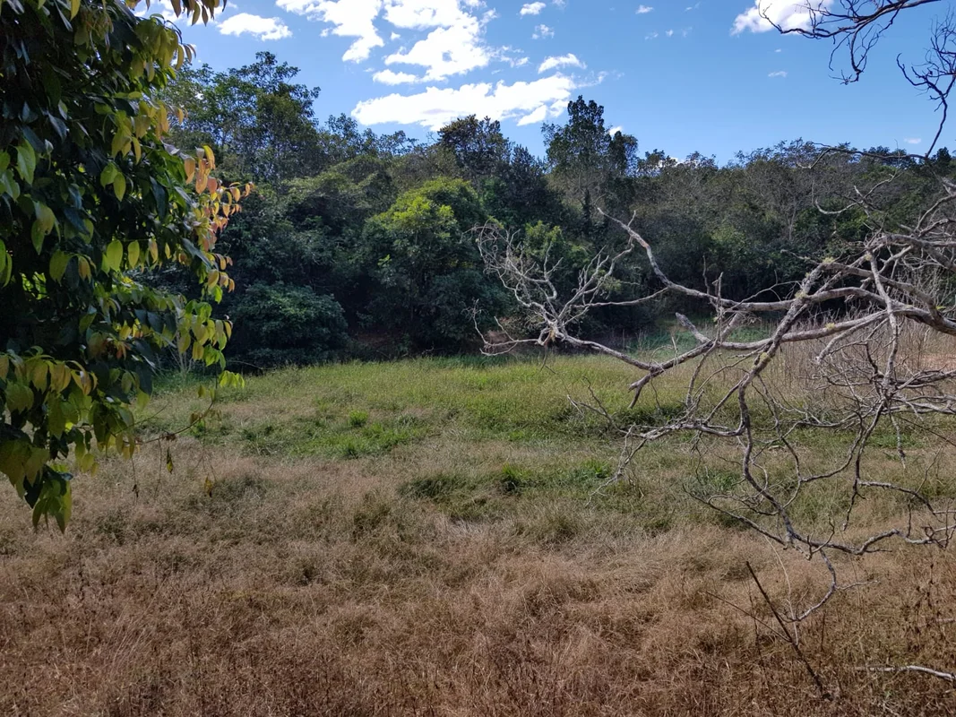 VENDO OU PERMUTO FAZENDA (TERRA NUA) – PLANALTINA/GO (61)99982.2419Área total de...
