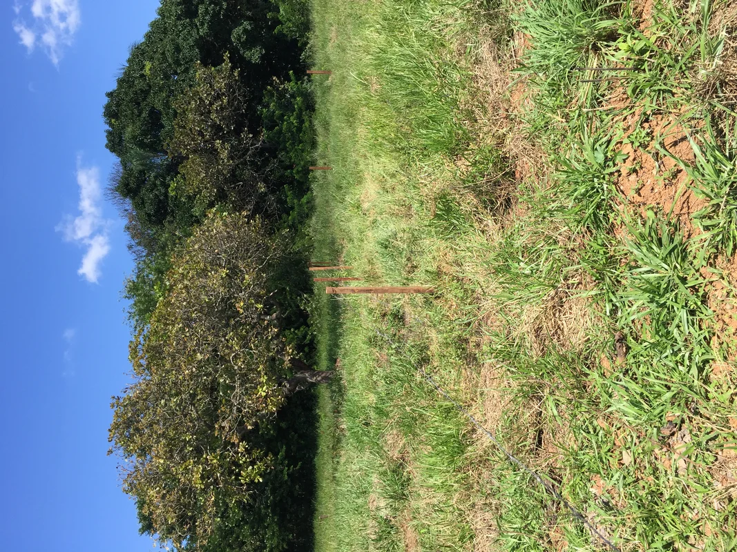 ???? LOTE ATRÁS DO COUNTRY CLUBE?? SETOR FRANCO- APARECIDA DE GOIÂNIA?? ÁREA-403...