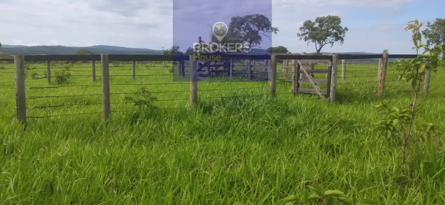 Fazenda, 12 alqueires, toda formada no Braquiarão, curral simples, nascente, dua...