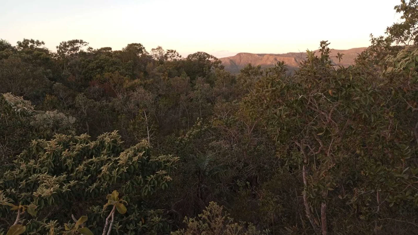 Terreno de 550 m² com vista para reserva no Residencial EldoradoLocalizado em Al...