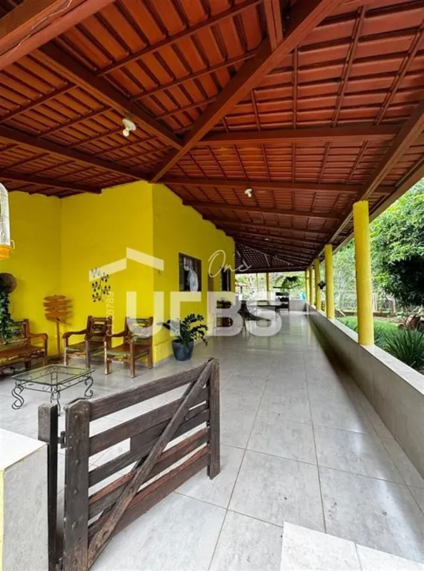 COD U-0027653 - Sítio dos sonhos, com um pomar diversificado, uma casa aconchega...