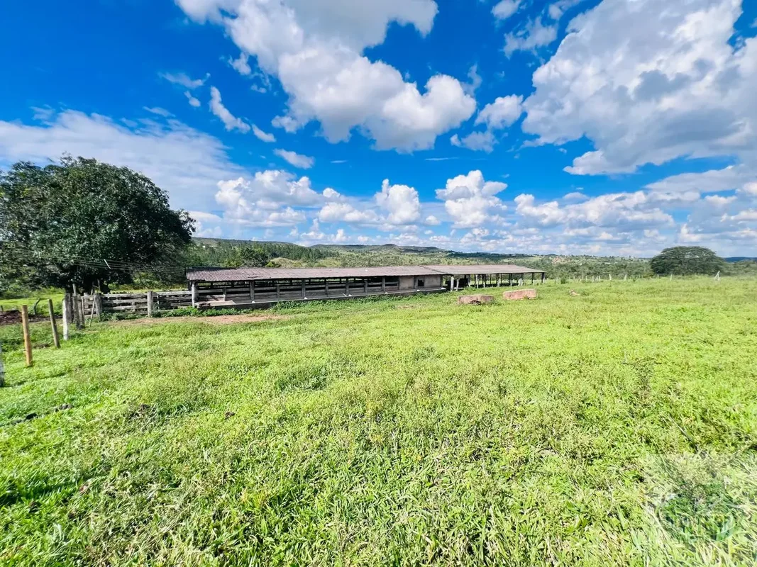 FAZENDA À VENDA - PECUÁRIA1)LOCALIZAÇÃO PREVILEGIADA•há 38 km do centro de Brasí...