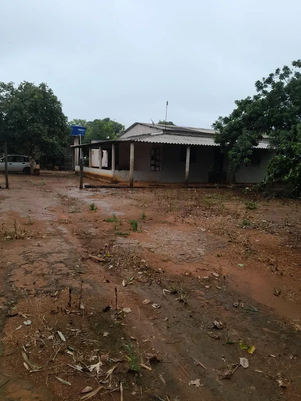 Chácara toda cercado de 70 a 80 % formada.- Poma - Galpão - Chiqueiro de porcos ...