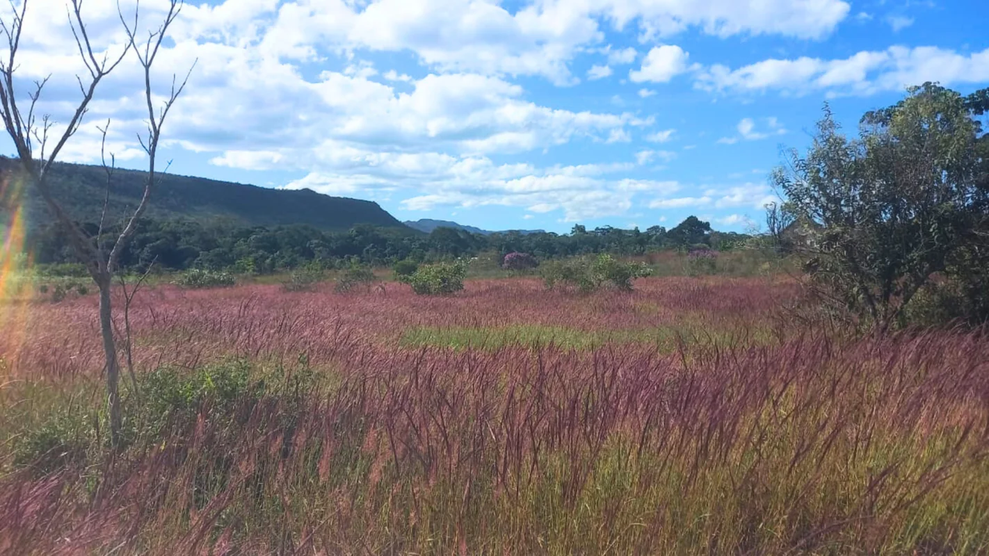 4 hectares com córrego e bela vista ao lado do Parque NacionalA 8 km de Alto Par...