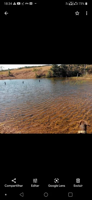 Fazenda com 40 alqueires, retirada apenas 23 km antes de chegar em Goianésia, ap...