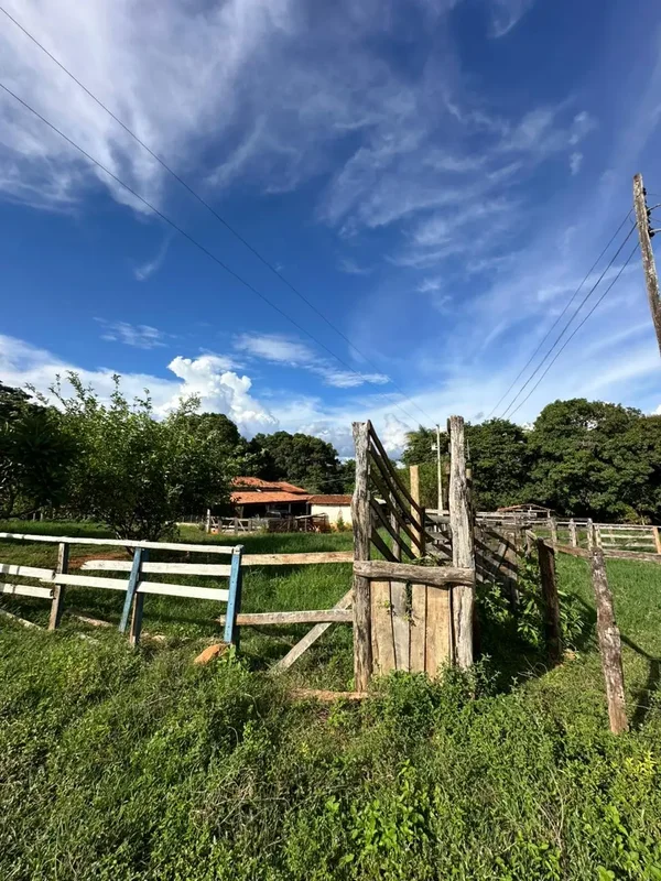  OPORTUNIDADE RURAL EM UNAÍ/MG – 39 HECTARES PRONTOS PARA PRODUÇÃO! Se você busc...