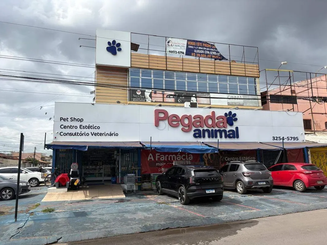 Oportunidade de Investimento - Renda Imediata e Alto Potencial de Valorização - ...