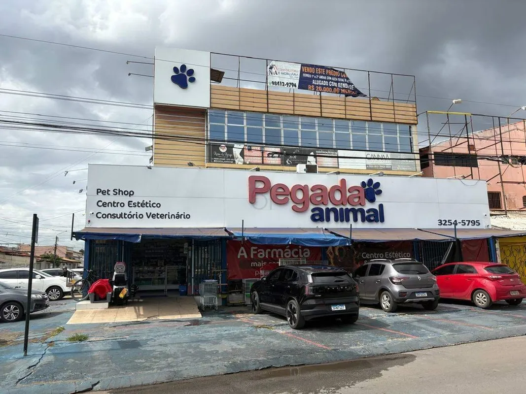 Oportunidade de Investimento - Renda Imediata e Alto Potencial de Valorização - ...