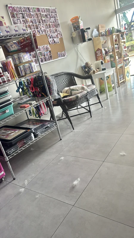 Vendo Pet Shop com banho e tosa , montado na Ceilândia no Setor O; com carteira ...