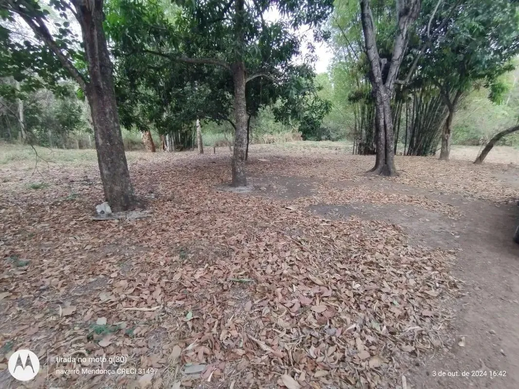 Chácara dentro da cidade, cercada por mata nativa, com córrego no quintal, a 20 ...