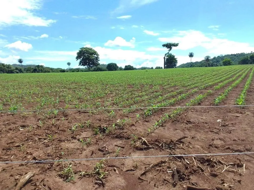 Fazenda à Venda com 117 Alqueires Ideal para Pecuária Próxima a GoiâniaExcelente...
