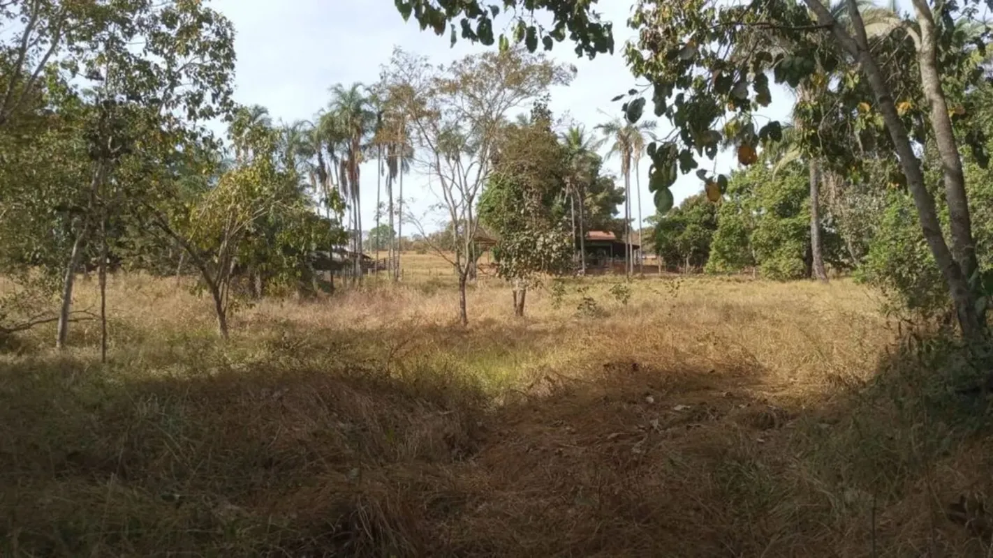 chácara município de Varjão Goiás 2 alqueires 6 km da cidade e do asfalto toda s...