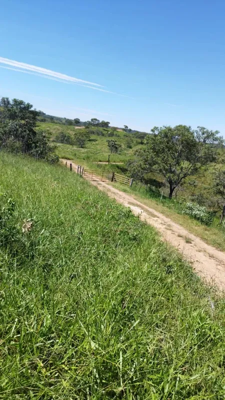 FAZENDA PARA CRIA DE GADO MUNICÍPIO DE SAO MIGUEL DO PASSA QUATRO. São 40 alquei...