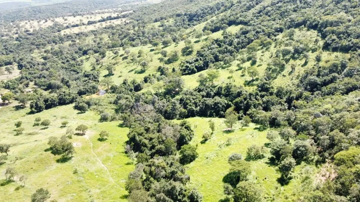 67 alqueires para cria de gado.Tem 40 alqueires de pasto 8 alqueires podem desma...