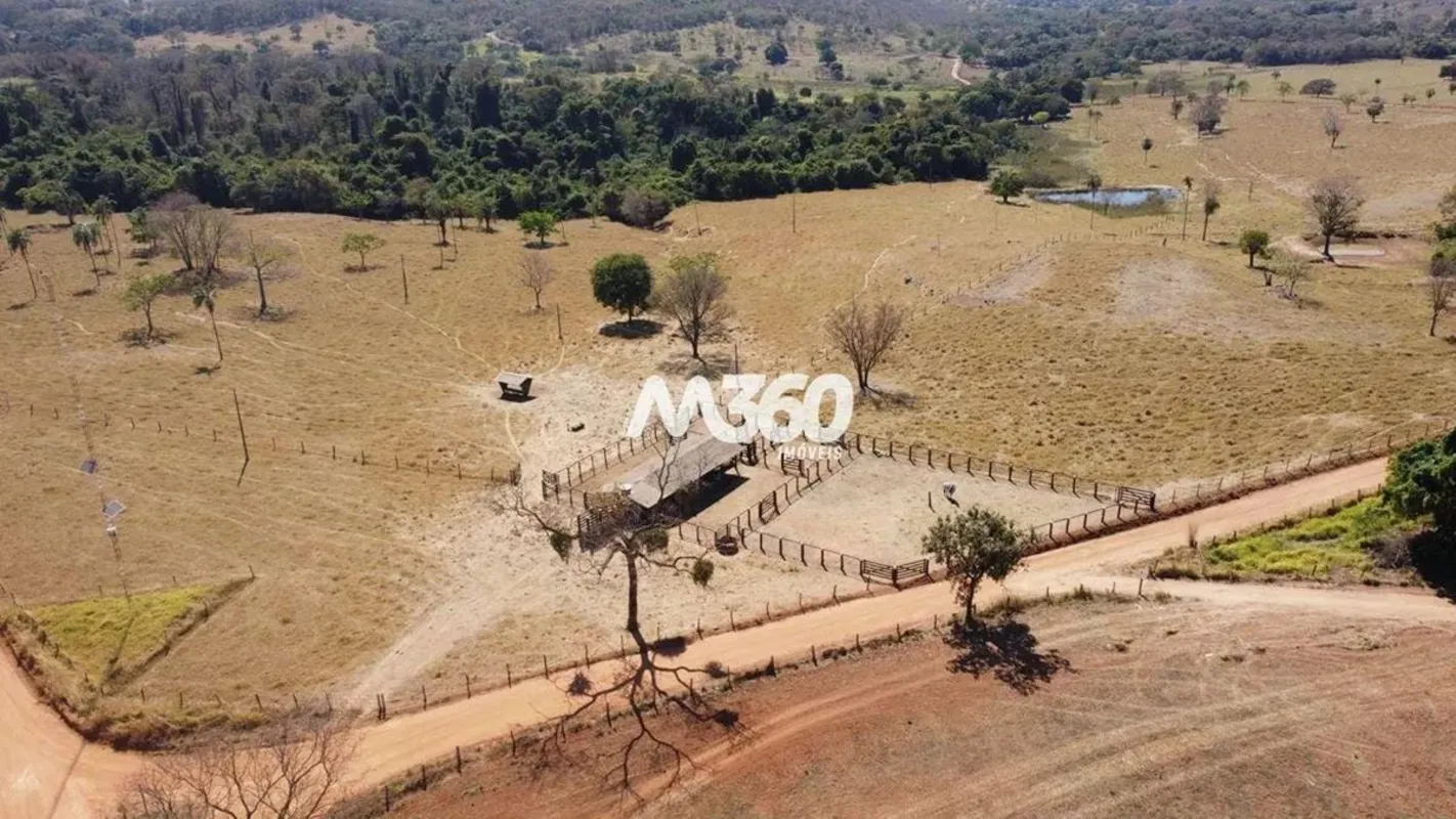 Detalhes da Fazenda: 19 Alqueires de Terreno: Espaço amplo para criação de gado....