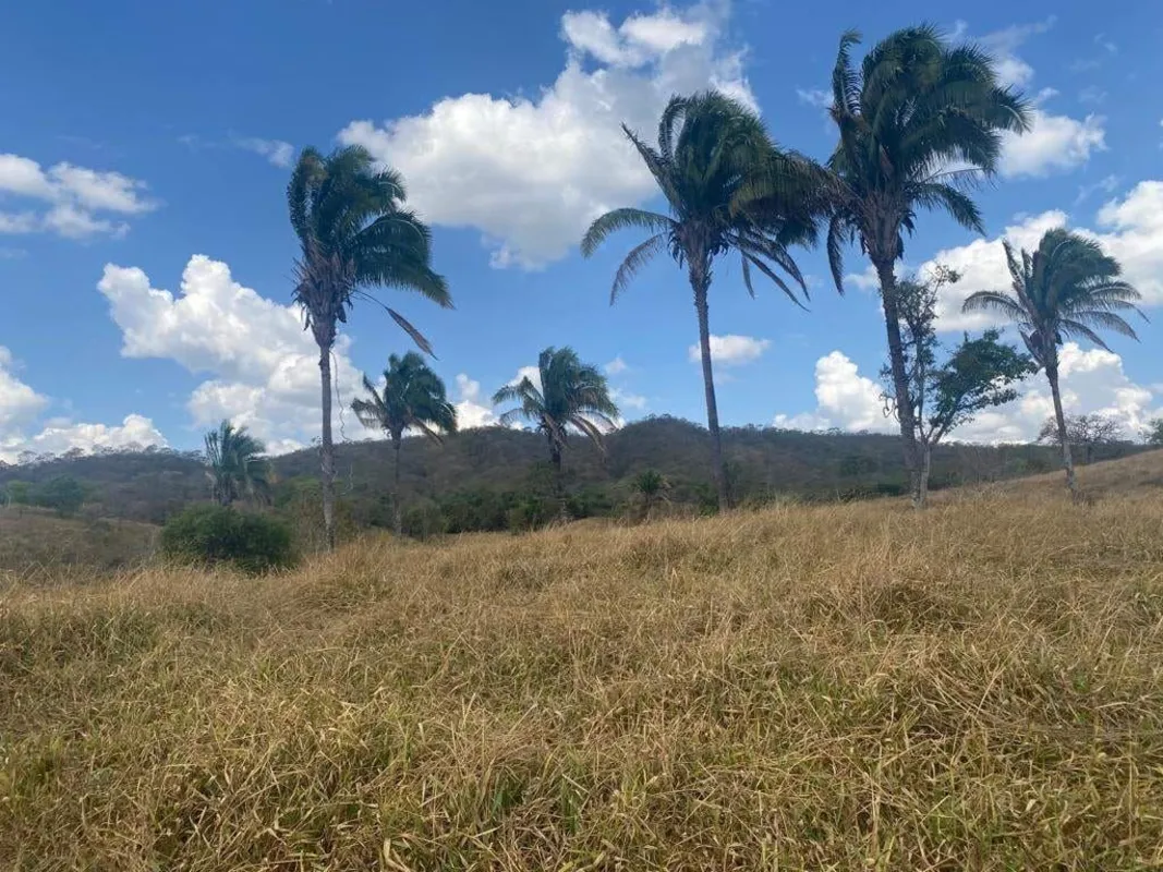Vende-se uma fazenda ?105 alqueires (508,20 hectares), exclusiva para criação de...