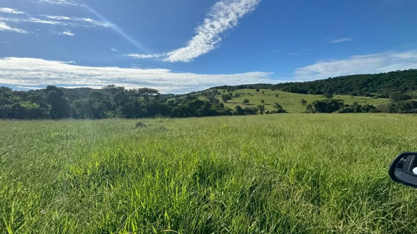 FAZENDA À VENDA - PONTALINA/GOExcelente oportunidade para pecuaristas!Localizaçã...