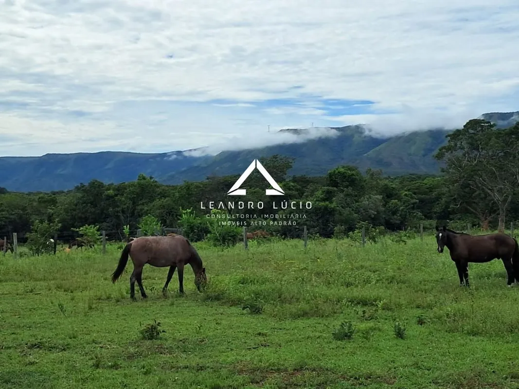 Fazenda à Venda Porteira Fechada Flores de Goiás Fazenda localizada em Flores de...