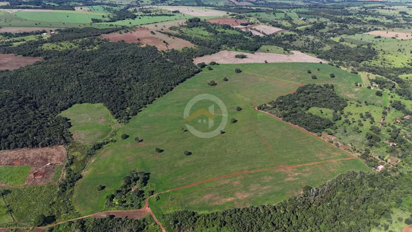 Excelente oportunidade! Fazenda a venda em Bela Vista de Goiás. Propriedade com ...