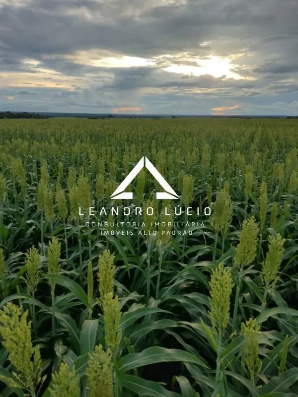 Fazenda à venda 4080M², Zona Rural, Ribeirão Cascalheira - MT Fazenda no municíp...