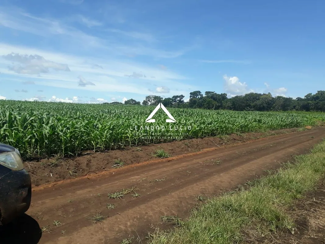 Fazenda à venda Zona Rural, Ribeirão Cascalheira - MT Fazenda no Município de Ri...