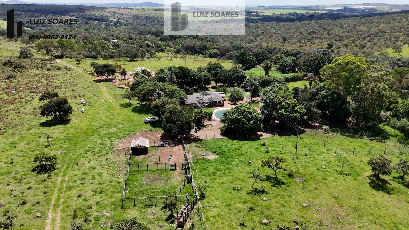 VENHA CONHECER A MELHOR FAZENDA DA REGIÃOSÃO 35 ALQUEIRES GOIANO169 HECTARESCINC...