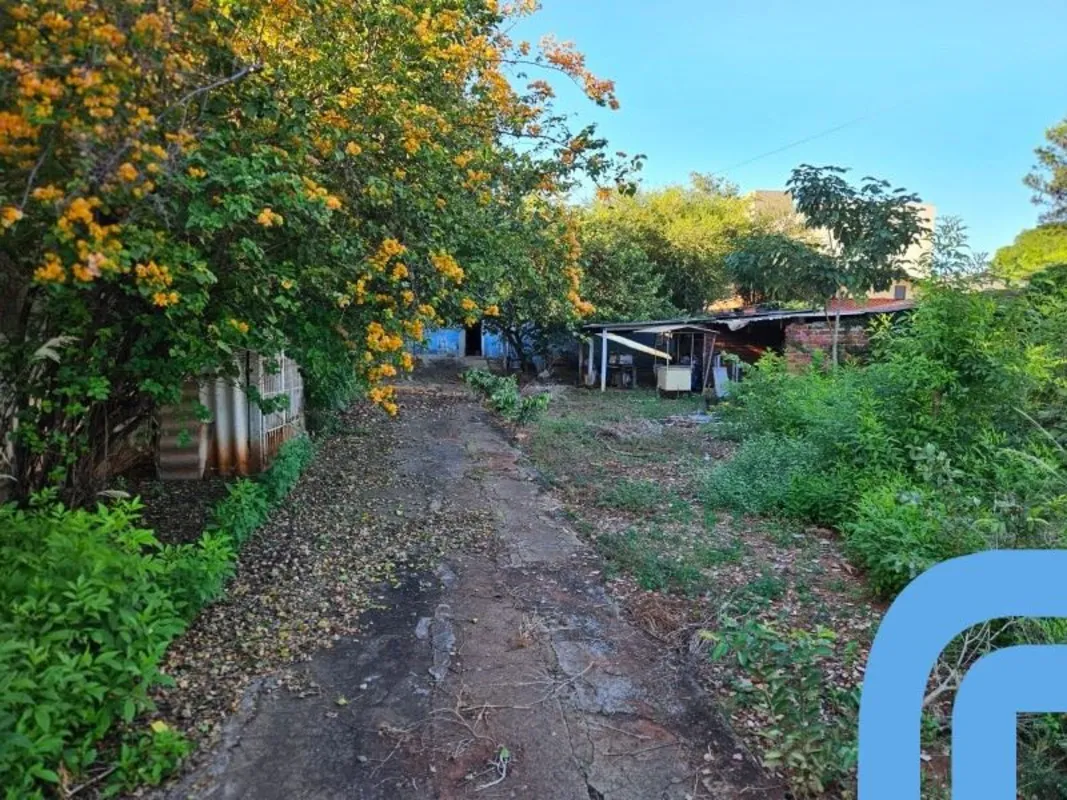 Terreno à venda no Setor Leste Vila Nova, Goiânia - Ref. VN221 Oportunidade únic...