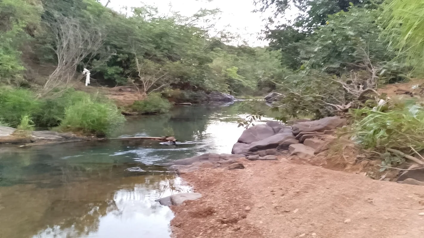 VENDO CHÁCARA - CABECEIRAS/GO- Localização: GO-346 (Cabeceiras/GO), KM 10, regiã...