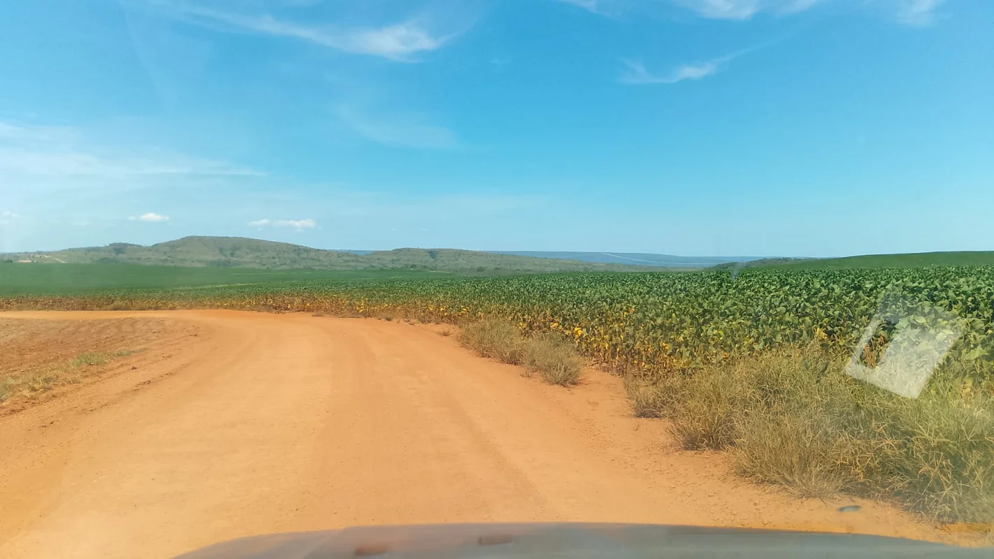 VENDO CHÁCARA - CABECEIRAS/GO- Localização: GO-346 (Cabeceiras/GO), KM 10, regiã...