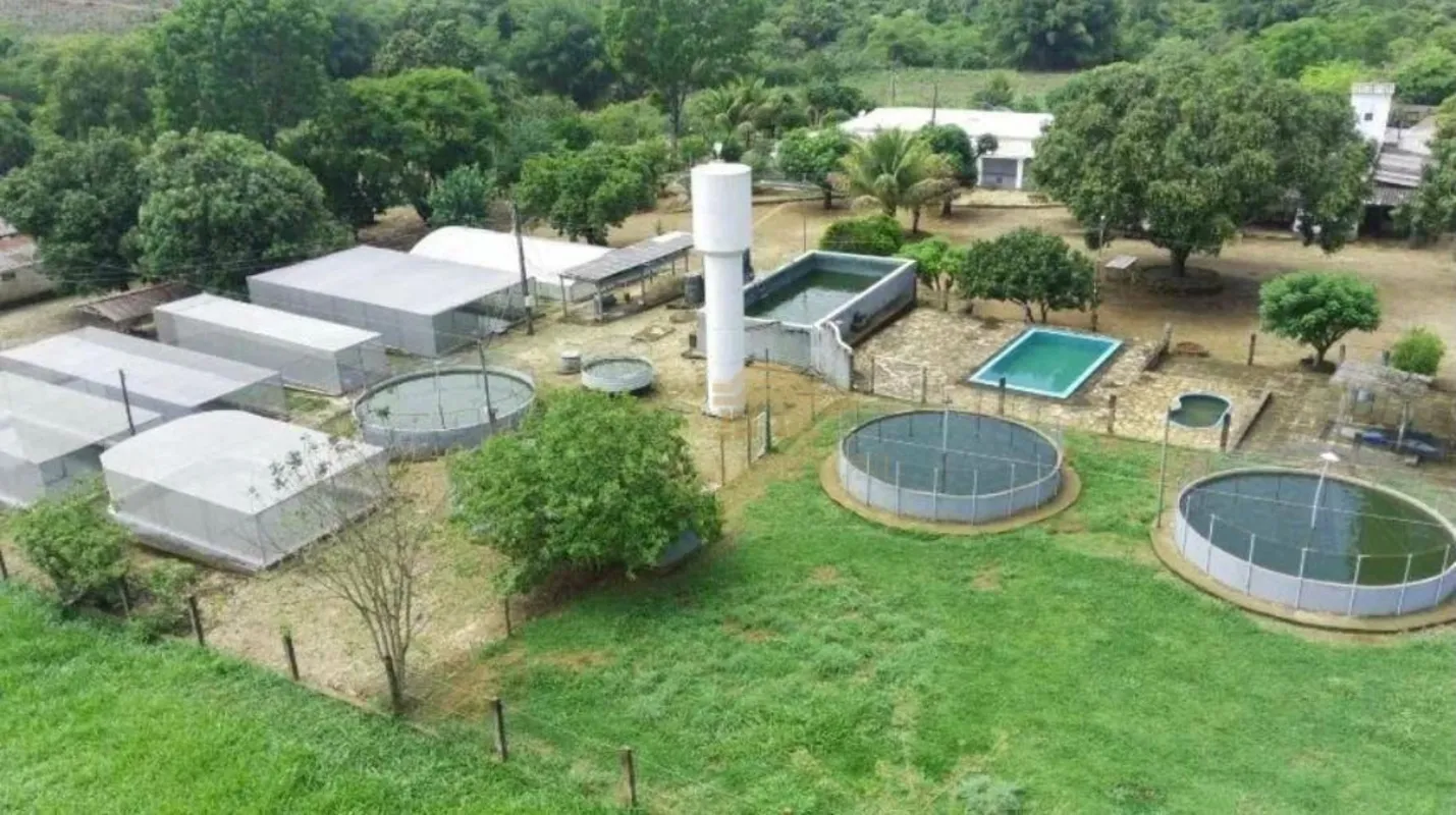 FAZENDA ESCRITURADA NOVO GAMA GO PISCICULTURA OUTORGA ANA CASA SEDE AVARANDADA E...
