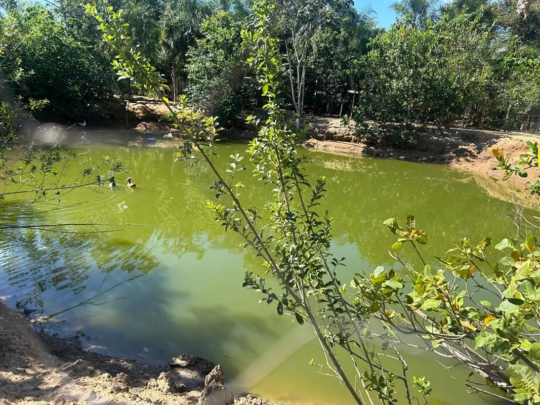 Chácara de Alto Padrão às Margens do Rio dos Bois – Pontalina/GOUm verdadeiro re...