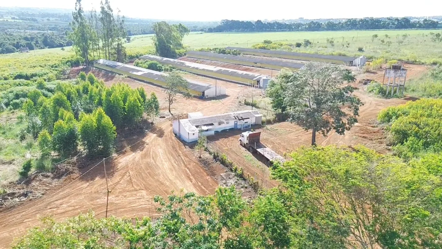 Vendo granja montada, completa e super rentável, na rota do cavalo Sobradinho I ...