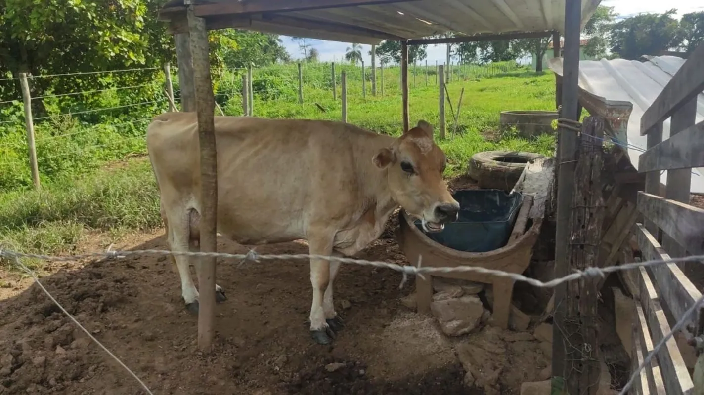 Chácara de 14.000m² em Bela Vista de Goiás Destaques da Propriedade:Casa Princip...