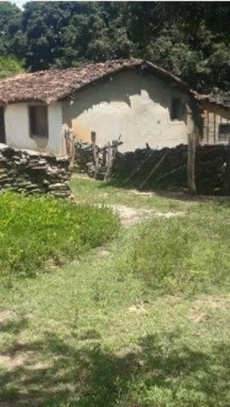 Fazenda à venda em Paranã Tocantins -Zona Rural - Paranã TOÁrea total com 301 al...