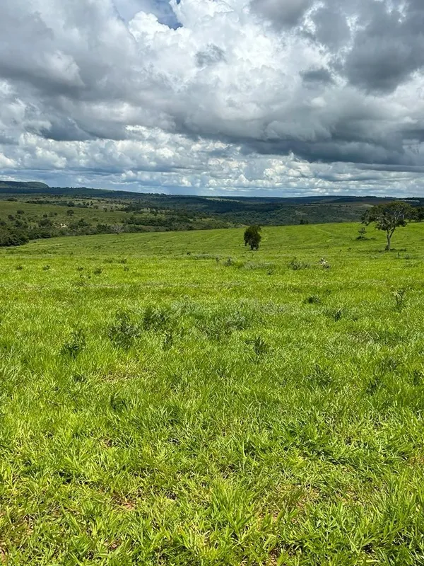 Fazenda na Região de Mineiros - GOÁrea total: 200 alqueires ou seja 970 hectares...