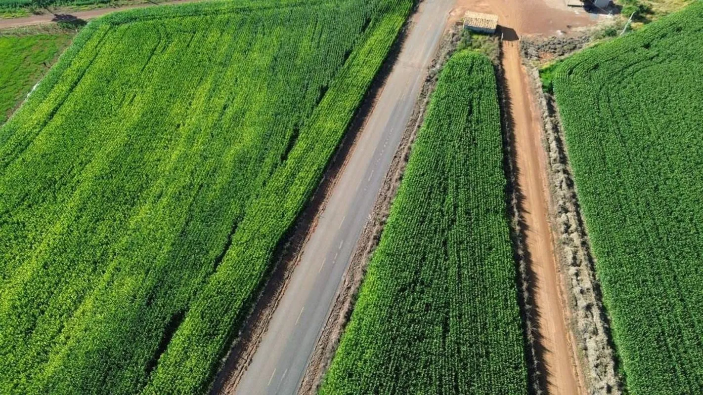 Sítio à venda na região de Luziânia/GOExcelente propriedade rural com 12 hectare...