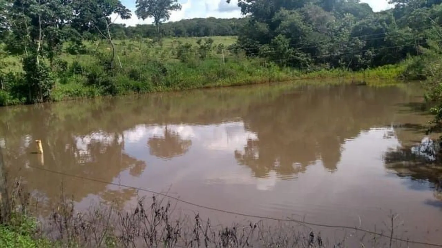 Excelente sítio com 6 alqueires em Aparecida de Goiânia 29.4 hectares 2 Casas, Á...