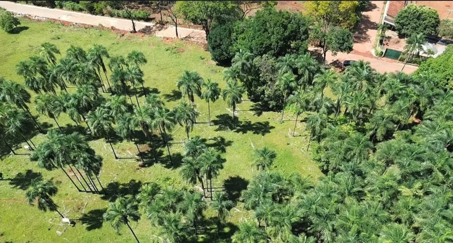 Excelente Area próximo ao Jardim Colorado contento 20 mil metros e venda fracion...