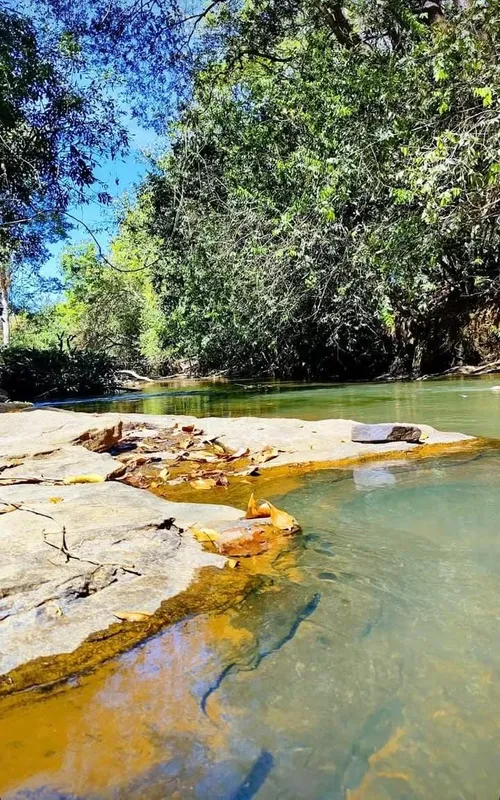Chácara com 5.000m² à venda, localizada às margens do Ribeirão Cachoeira, a apen...