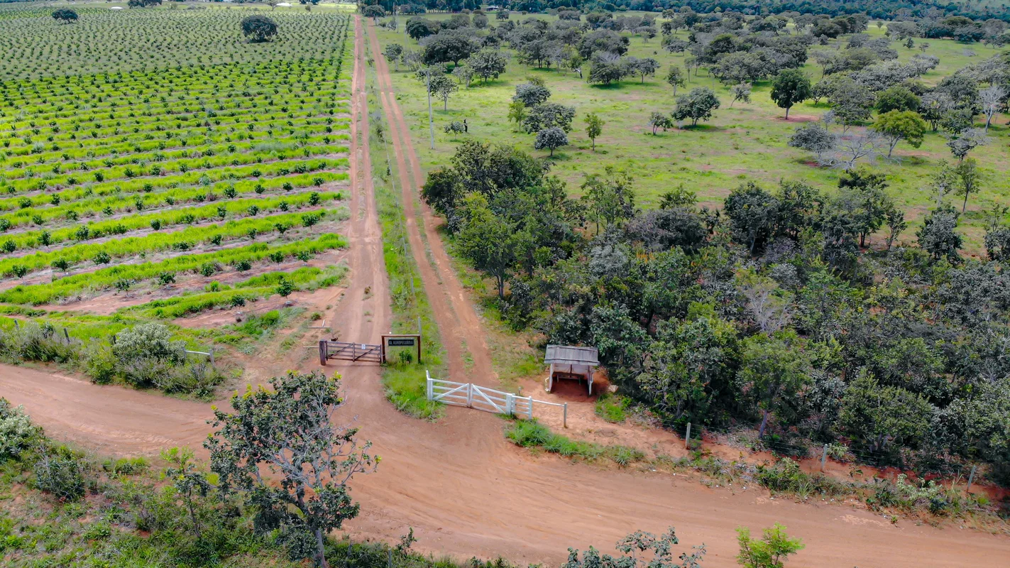 Oportunidade Única: Fazenda com Infraestrutura Completa e Excelente Localização!...