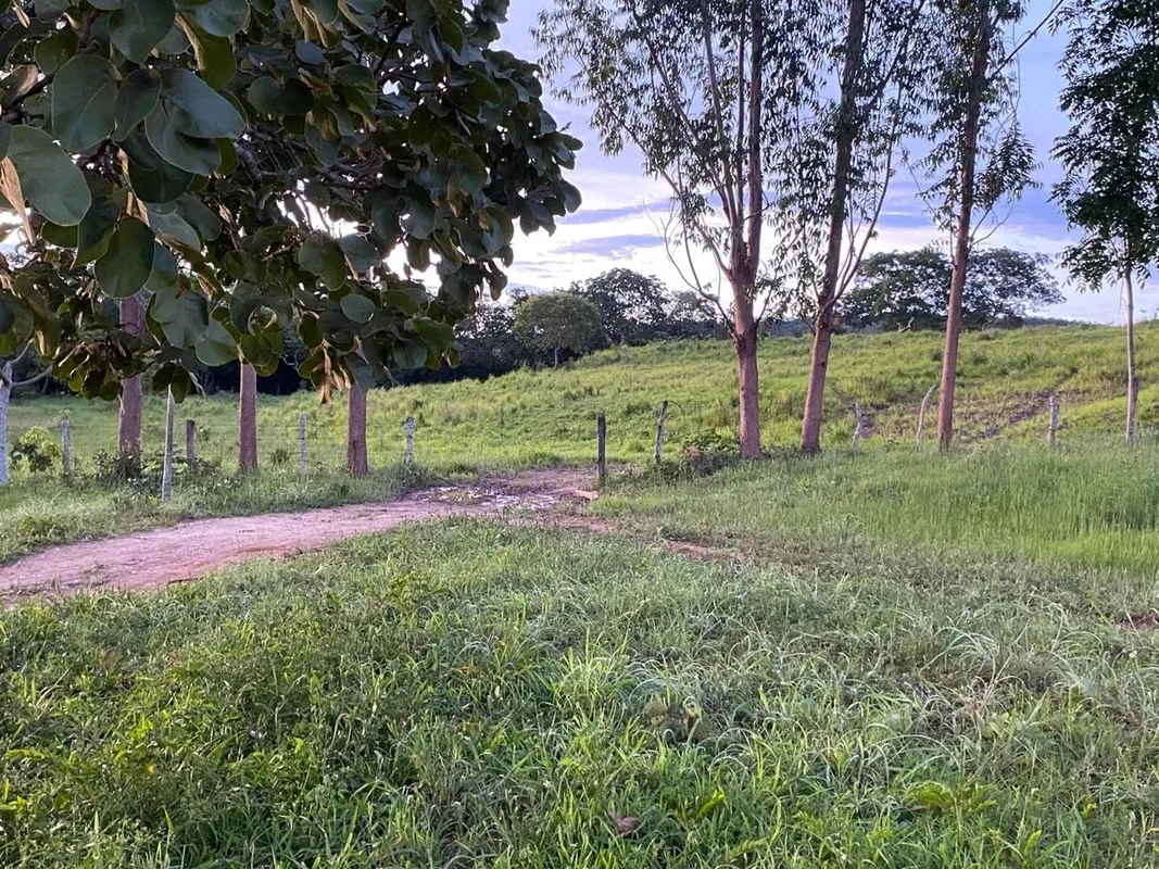 Sítio na Região de Mara - GoiásCom área total de 4,5 alqueires, ou seja, 21,78 h...