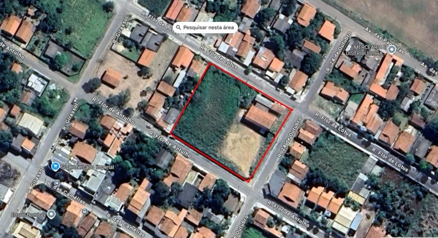 Foto do Imóvel
