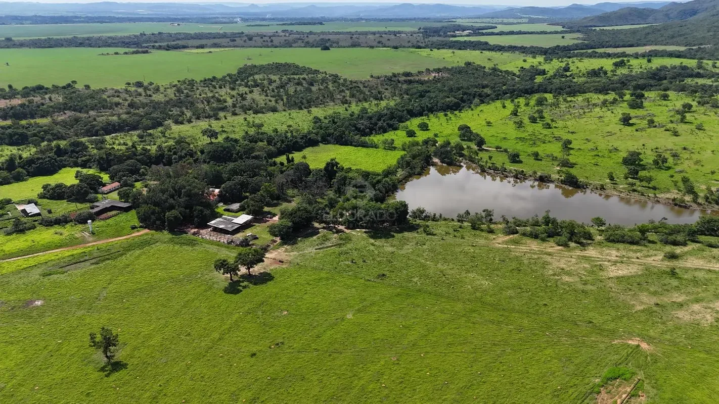 Area total: 1.616 hectaresArea Plantada (soja): cerca de 650 hectaresArea com pa...