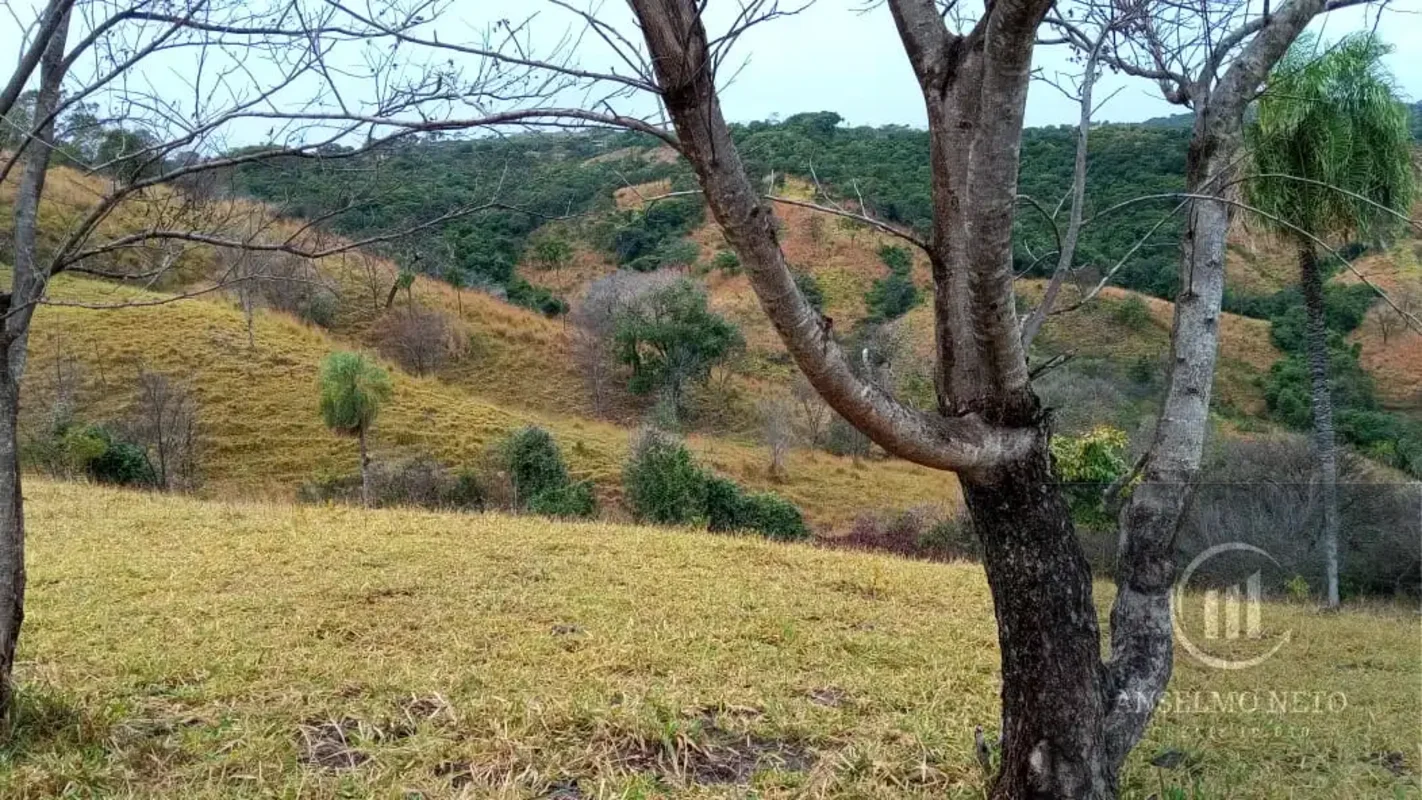 Fazenda 28 alqueires a 180 km de Gyn e 16 km de chão de Guaraita e 10.5 km de ch...