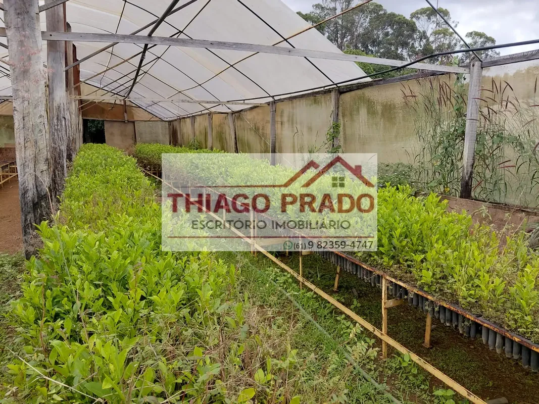 Chácara Exclusiva à Venda em Planaltina-DF – 7 Hectares com Alta Produtividade e...