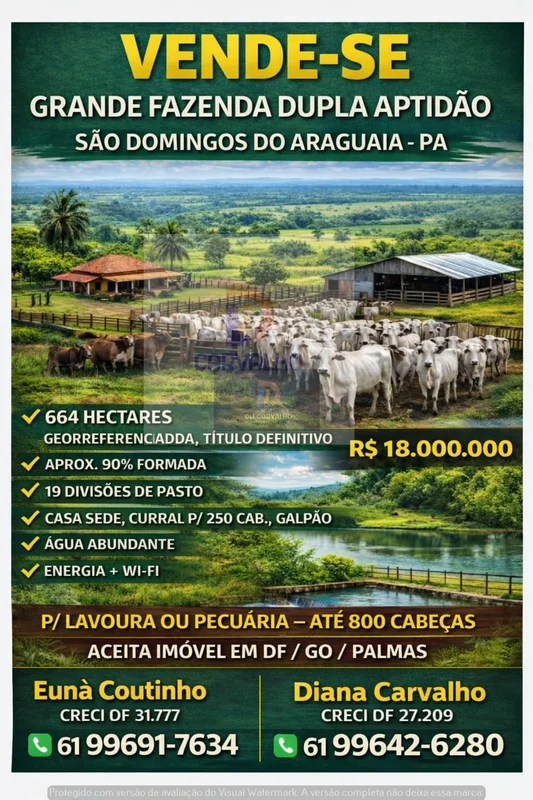 DLF CARVALHO - IMÓVEIS"Qualidade e respeito com nosso Cliente".CORRETORES:Euná C...