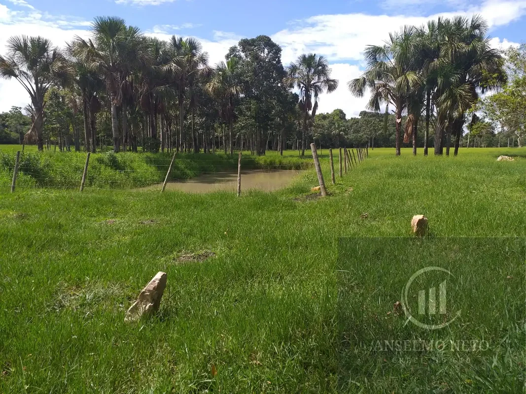 ?? chácara 2.5 alqueires ** Município Itaberaí a 27 km sendo 9 km estrada chão d...