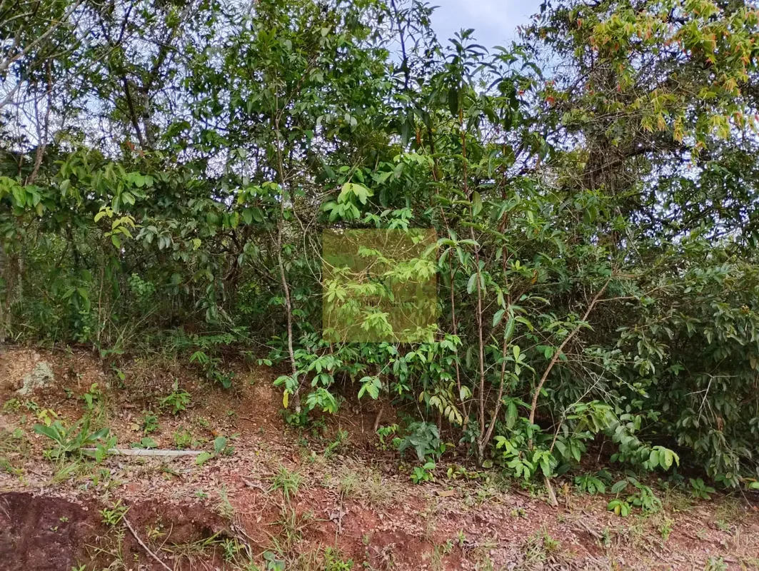 Excelente oportunidade para construir seu sonho no Jardim Botânico, Brasília. Si...