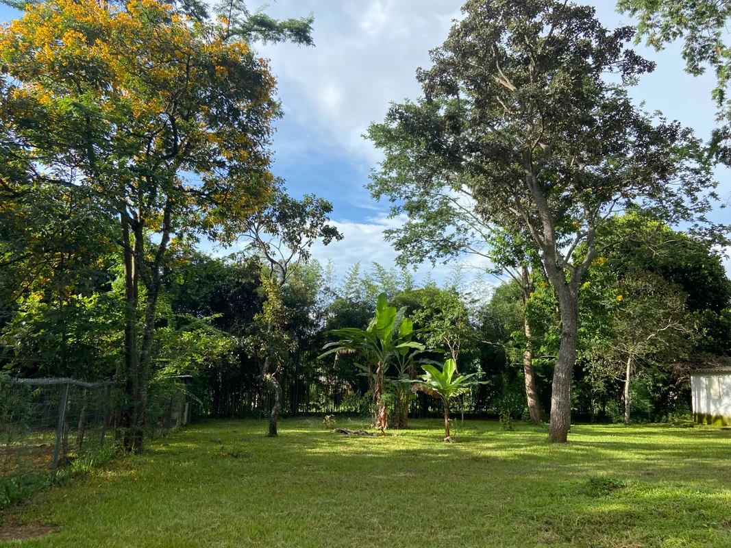***LINDO TERRENO (1666m²) C/ EXUBERANTE ÁREA VERDE (5.200m²) ARBORIZADA, NATUREZ...